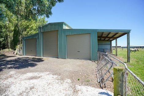 Photo of property in 141 Collinson Road, Ryal Bush, Invercargill, 9876
