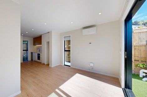 Photo of property in 68a Derwent Street, Island Bay, Wellington, 6023