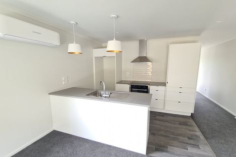 Photo of property in 18u2 Rothwell Street, Dinsdale, Hamilton, 3204