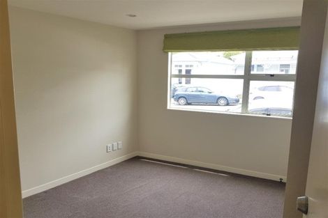Photo of property in 203 Tasman Street, Mount Cook, Wellington, 6021