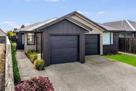 Photo of property in 14u2 Mitcham Avenue, Forest Lake, Hamilton, 3200