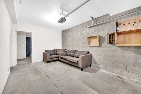 Photo of property in 3uj Papawai Terrace, Mount Cook, Wellington, 6021