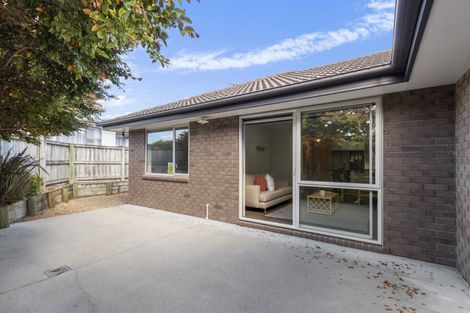 Photo of property in 55a Houchens Road, Glenview, Hamilton, 3206