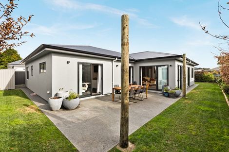 Photo of property in 65 Hunter Drive, Awatoto, Napier, 4110