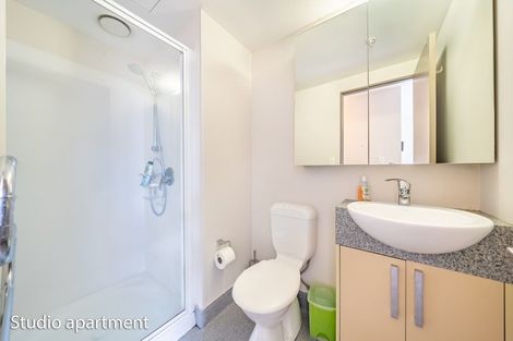 Photo of property in Dual Apartments, 108/142u Vivian Street, Te Aro, Wellington, 6011