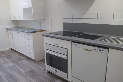 Photo of property in 66 Lonsdale Street, Belleknowes, Dunedin, 9011