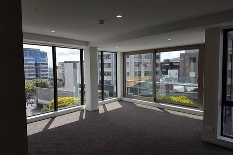 Photo of property in Vsp South, 507/166u Victoria Street, Te Aro, Wellington, 6011
