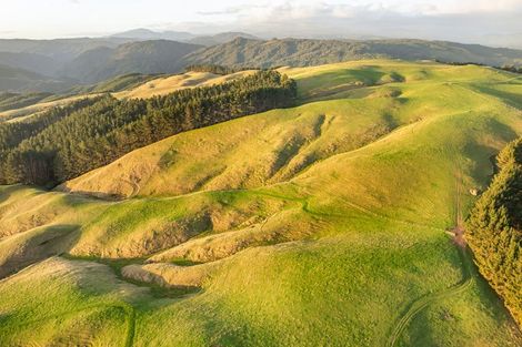 Photo of property in 492 Moonshine Hill Road, Moonshine Valley, Porirua, 5381