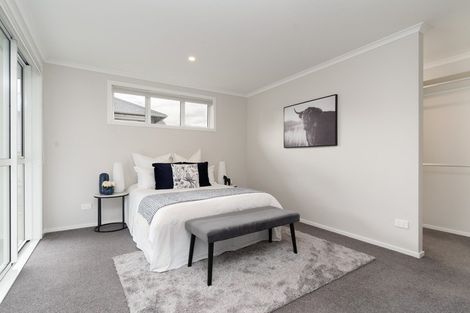 Photo of property in 47 Mcmaster Street, Greytown, 5712