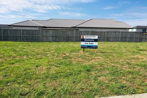 Photo of property in 17 Huamanu Street, Pukekohe, 2120
