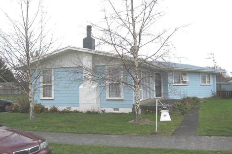 Photo of property in 29 Manchester Street, Solway, Masterton, 5810