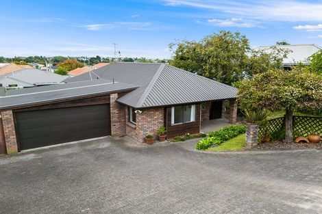 Photo of property in 49e Carey Street, Maeroa, Hamilton, 3200