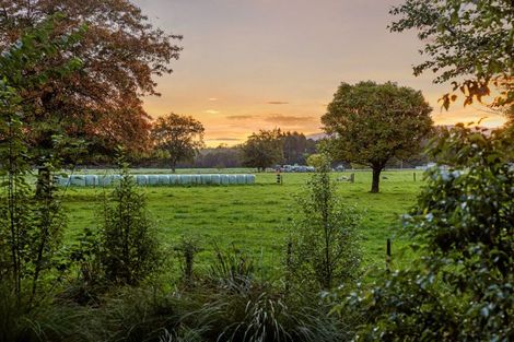 Photo of property in 584 Orari Station Road, Geraldine, 7992