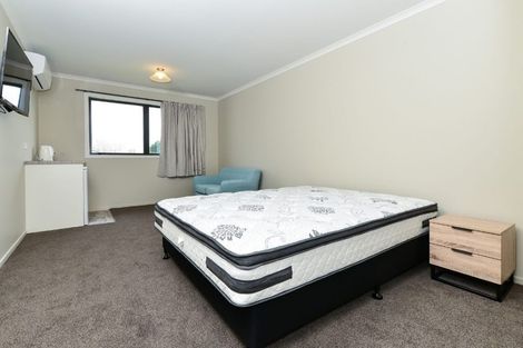 Photo of property in 188u3 Ulster Street, Whitiora, Hamilton, 3200