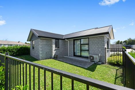 Photo of property in 23u1 Ross Crescent, Fairfield, Hamilton, 3214