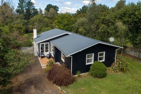 Photo of property in 217 Taupahi Road, Turangi, 3334
