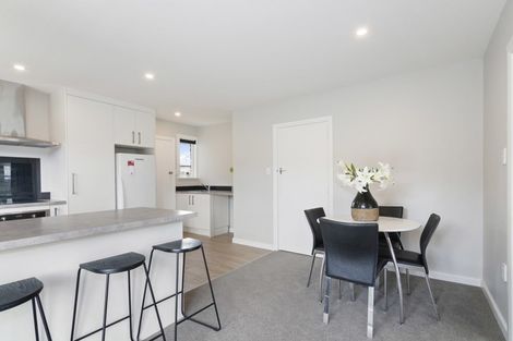 Photo of property in 19 Oxford Street, Richmond, 7020