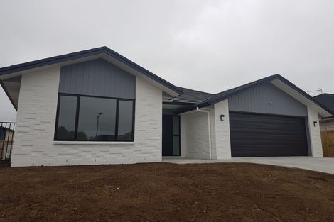 Photo of property in 26 Maggie Place, Chartwell, Hamilton, 3210