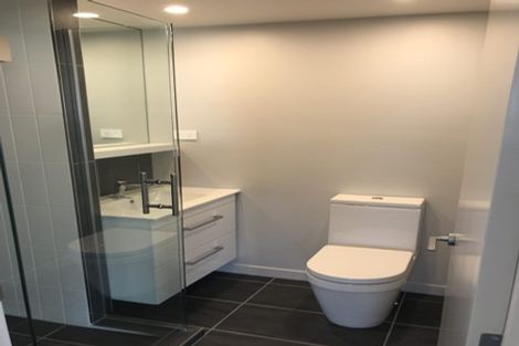 Photo of property in Vsp South, 401/168u Victoria Street, Te Aro, Wellington, 6011