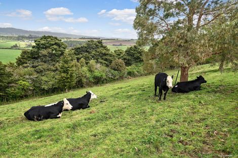 Photo of property in 397b Bald Hill Road, Waiuku, 2681