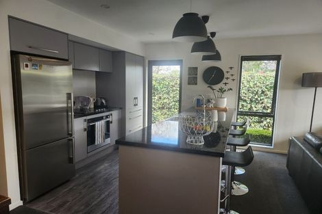 Photo of property in 161 Petrie Street, Richmond, Christchurch, 8013