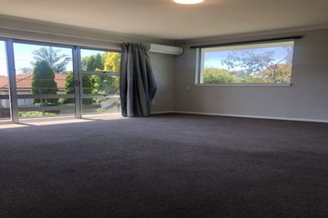 Photo of property in 1/101 Middlepark Road, Sockburn, Christchurch, 8042