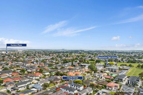 Photo of property in 1b Carlie Street, Papatoetoe, Auckland, 2025