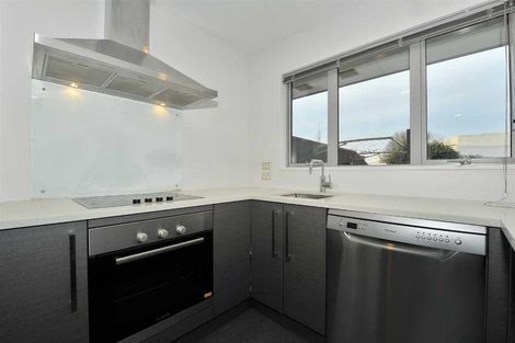 Photo of property in 38 Mustang Avenue, Wigram, Christchurch, 8042