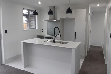 Photo of property in 38 Escotts Road, Tuakau, 2121