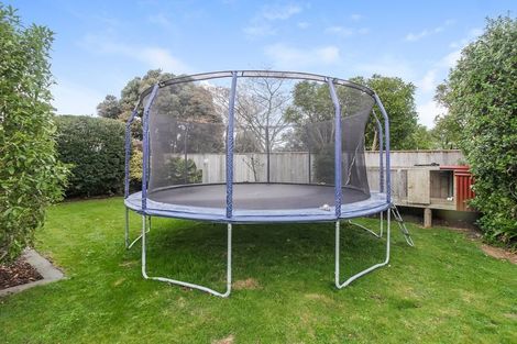 Photo of property in 6 Higgin Place, Feilding, 4702