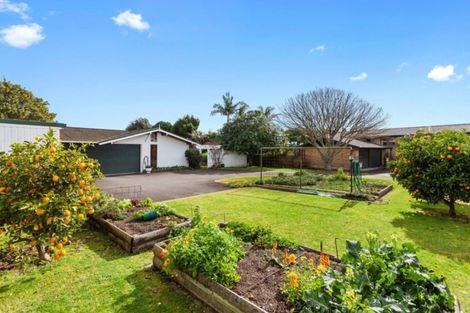 Photo of property in 5a Pouwhare Street, Whakatane, 3120