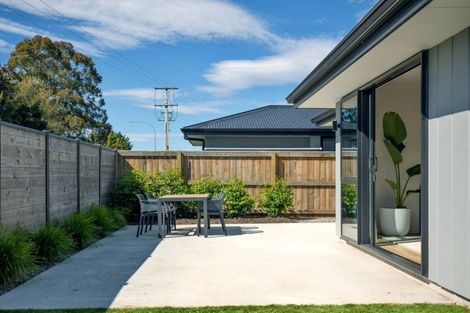 Photo of property in 20 Lotus Street, Appleby, Richmond, 7020