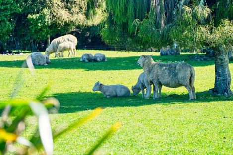 Photo of property in 427a Maori Creek Road, Marsden, Arnold Valley, 7872