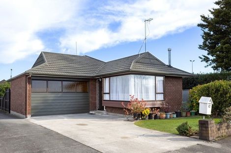 Photo of property in 62 North Street, Palmerston North, 4410
