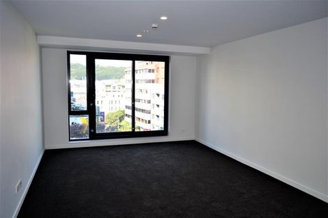 Photo of property in Vsp South, 507/168u Victoria Street, Te Aro, Wellington, 6011