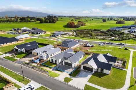Photo of property in 533 Korimako Drive, Te Awamutu, 3800