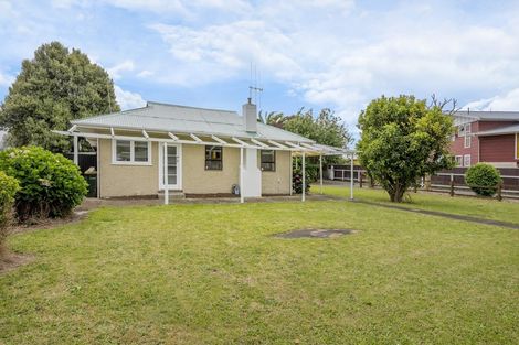 Photo of property in 191 Tiro Tiro Road, Levin, 5510