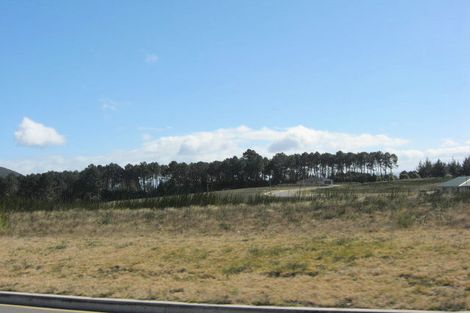 Photo of property in 156 Parekaawa Drive, Motuoapa, 3382