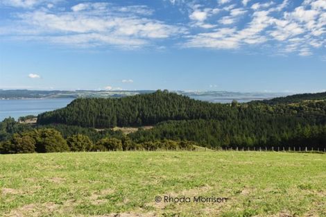 Photo of property in 1 Te Wairoa Lane, Tinopai, Matakohe, 0593