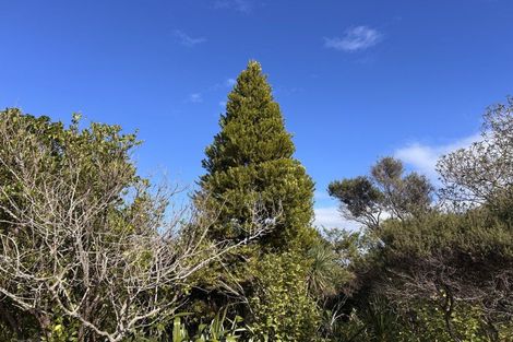 Photo of property in 55 M Greenwood Road, Leigh, 0972