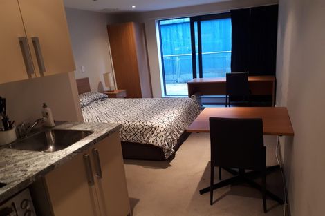 Photo of property in Dual Apartments, 108/142u Vivian Street, Te Aro, Wellington, 6011