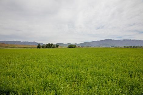 Photo of property in 57 Golden Road, Springvale, Alexandra, 9393