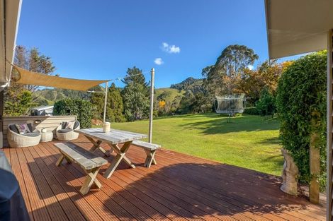 Photo of property in 11 Mangotahi Road, Thames, 3577