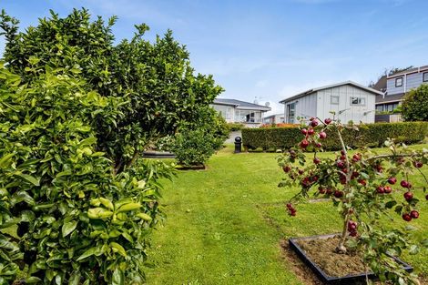 Photo of property in 14 Ropata Street, Hawera, 4610