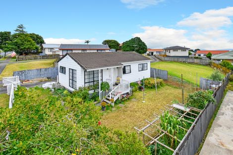 Photo of property in 193 Finlayson Avenue, Clendon Park, Auckland, 2103