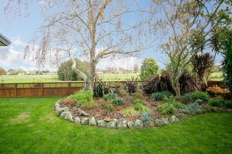 Photo of property in 41 Oaklands Drive, Cambridge, 3434