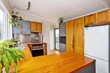 Photo of property in 33 Dryfe Street, Nightcaps, 9630