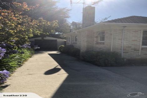 Photo of property in 41 Nixon Street, Hamilton East, Hamilton, 3216