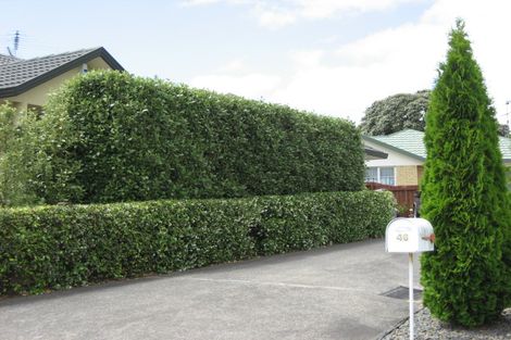 Photo of property in 46 Ridgeway Road, Pukekohe, 2120