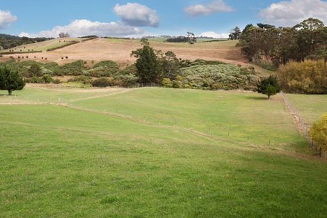 Photo of property in 95a Ostrich Farm Road, Pukekohe, 2676